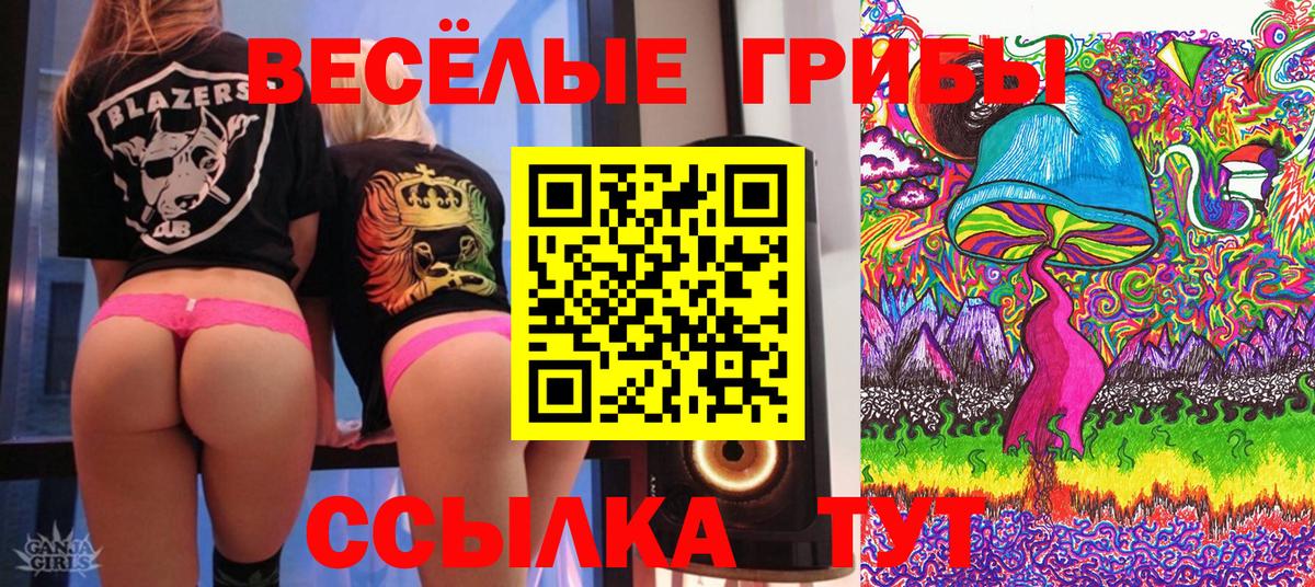 Псилоцибиновые грибы мицелий Ялта